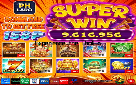 Experience the Thrill of Our Exclusive Gaming Destination